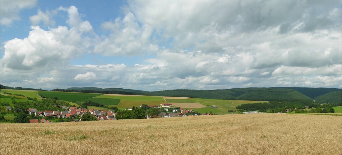 Blick auf Riedöschingen (Foto: Simisa - wikimedia / CC BY-SA 3.0)